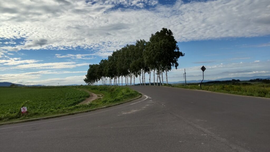 セブンスターの木