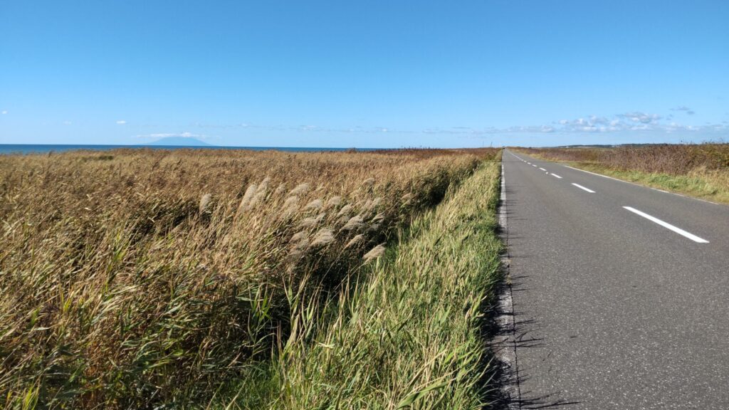 開拓農道 浜更岸線
