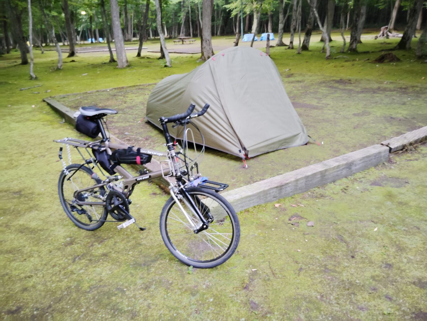 青葉公園