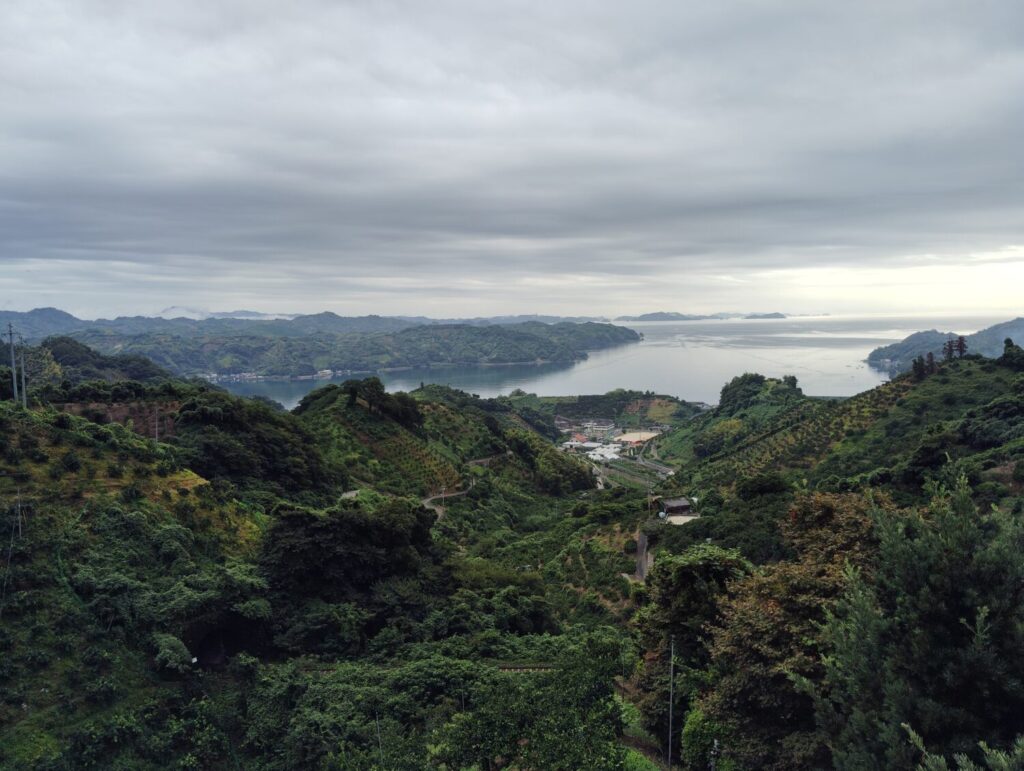 国道56　法華津峠